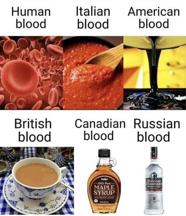 각 나라별 사람들의 혈액
