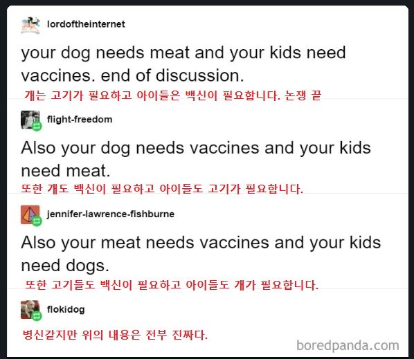 개,고기,아이,백신