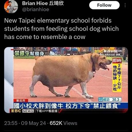 대만의 한 초등학교에서 금지시킨 것