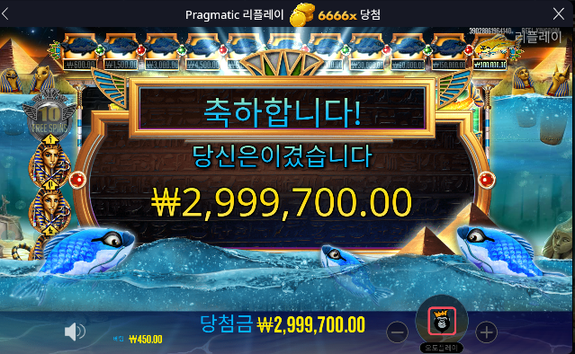 피쉬 아이 맥스