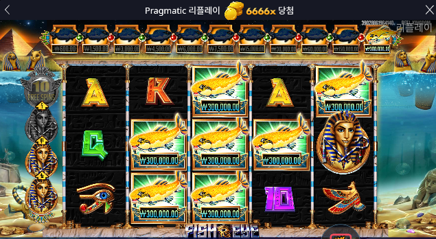 피쉬 아이 맥스