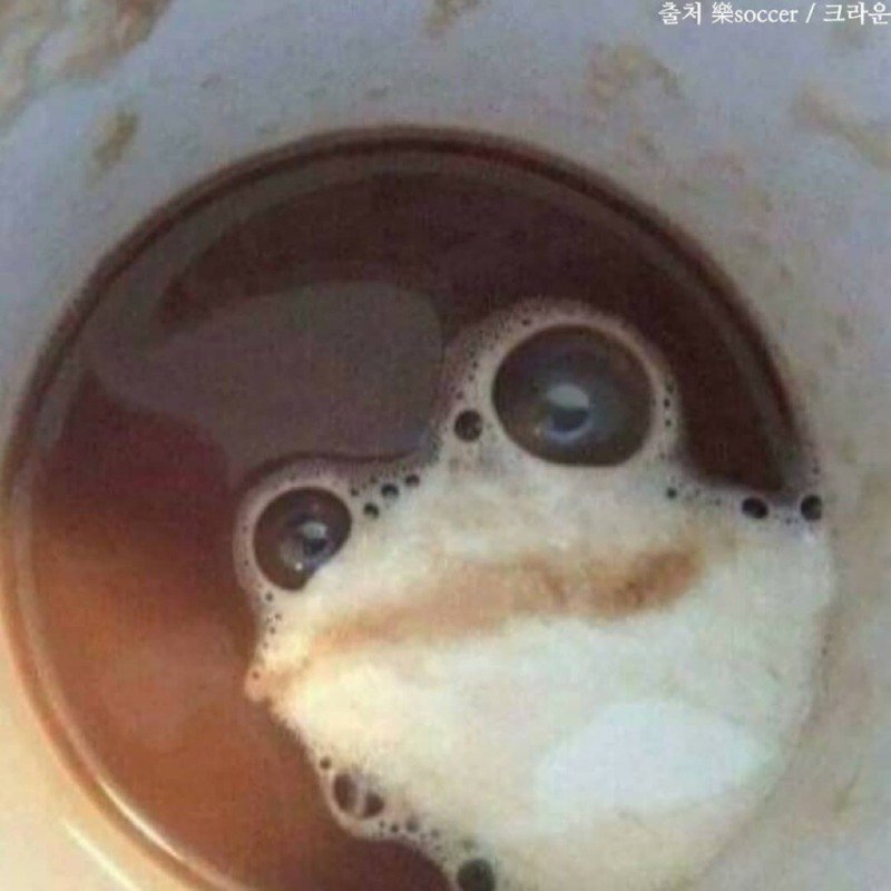 커피 안 개구리