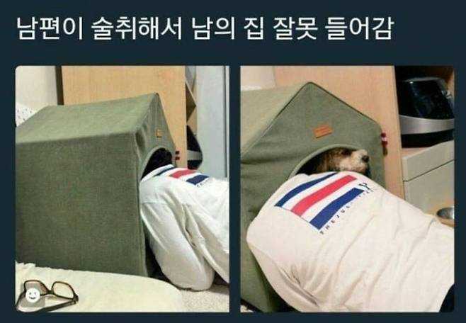 남편이 술 취해서 남의 집 잘못 들어감