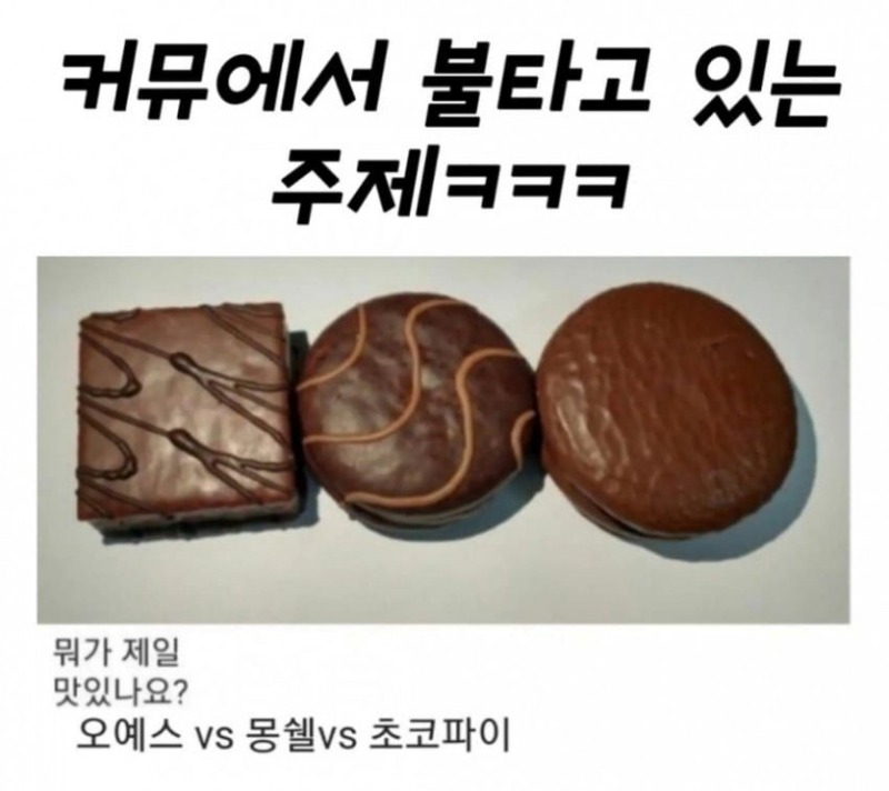 커뮤에서 불타는 주제