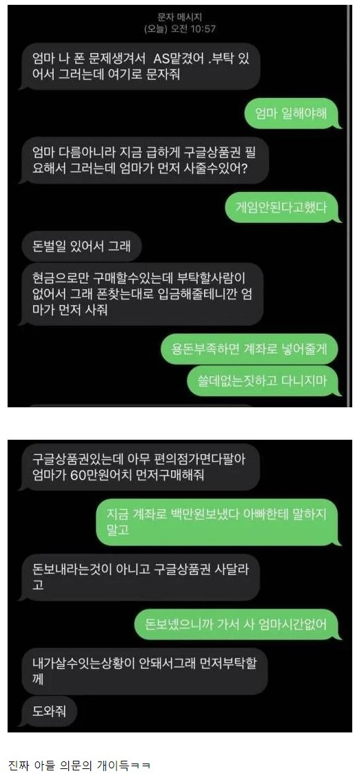 뜻밖의 개이득