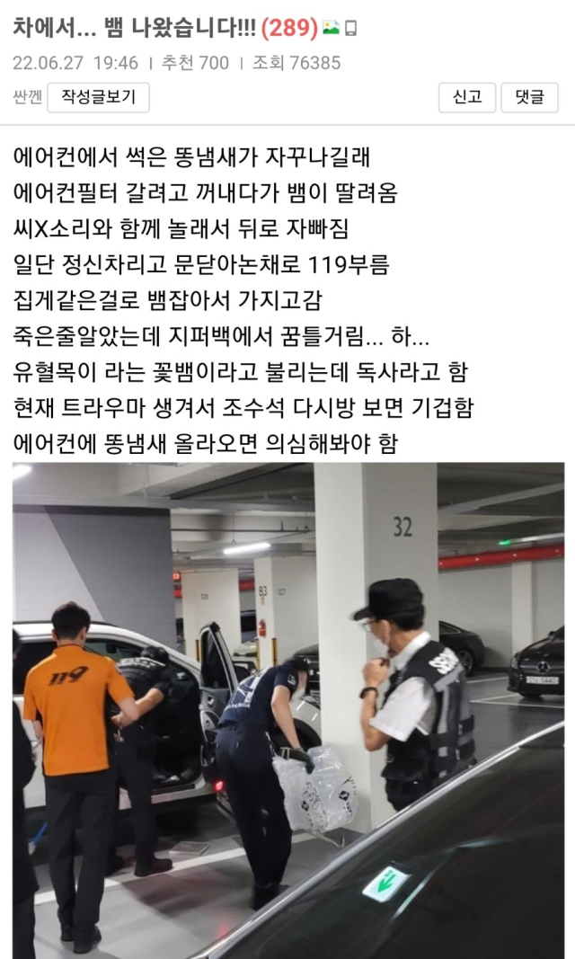 차에서 뱀나옴