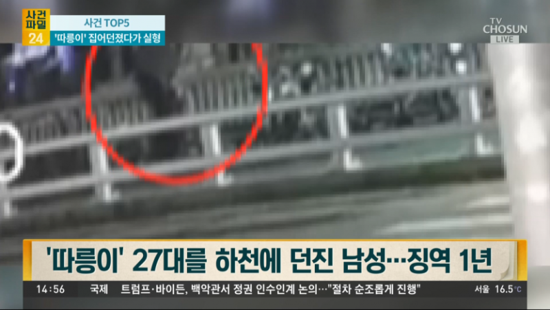 던지기의 달인