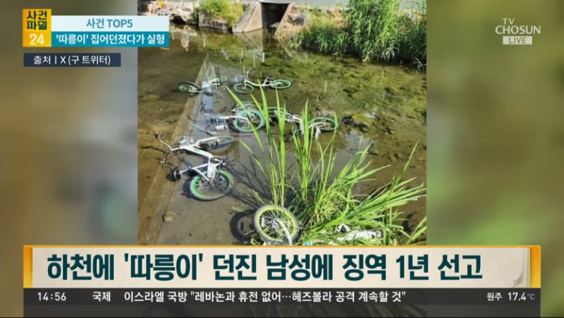 던지기의 달인