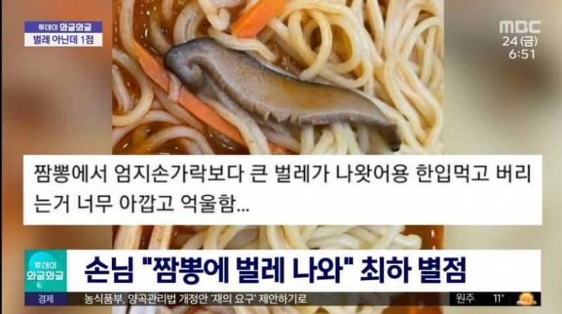 공중파 탄 별점리뷰