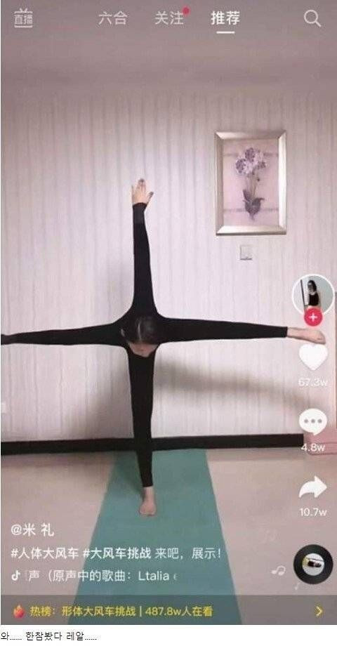 극강의 유연성