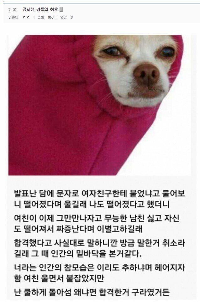 공시생 커플의 최후