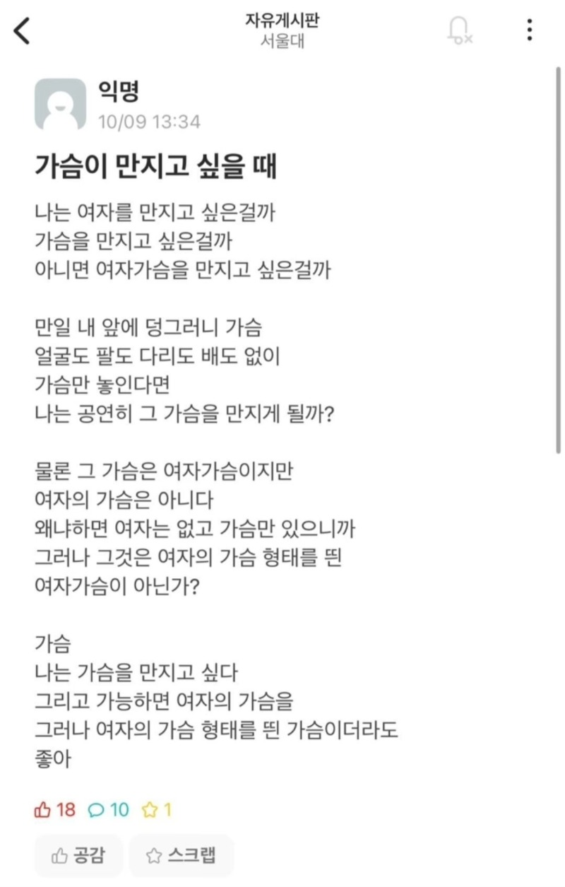 서울대생의 가슴에 관한 고찰