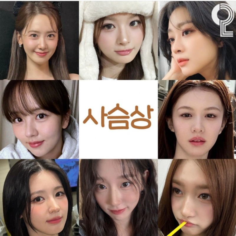 연예인 동물상
