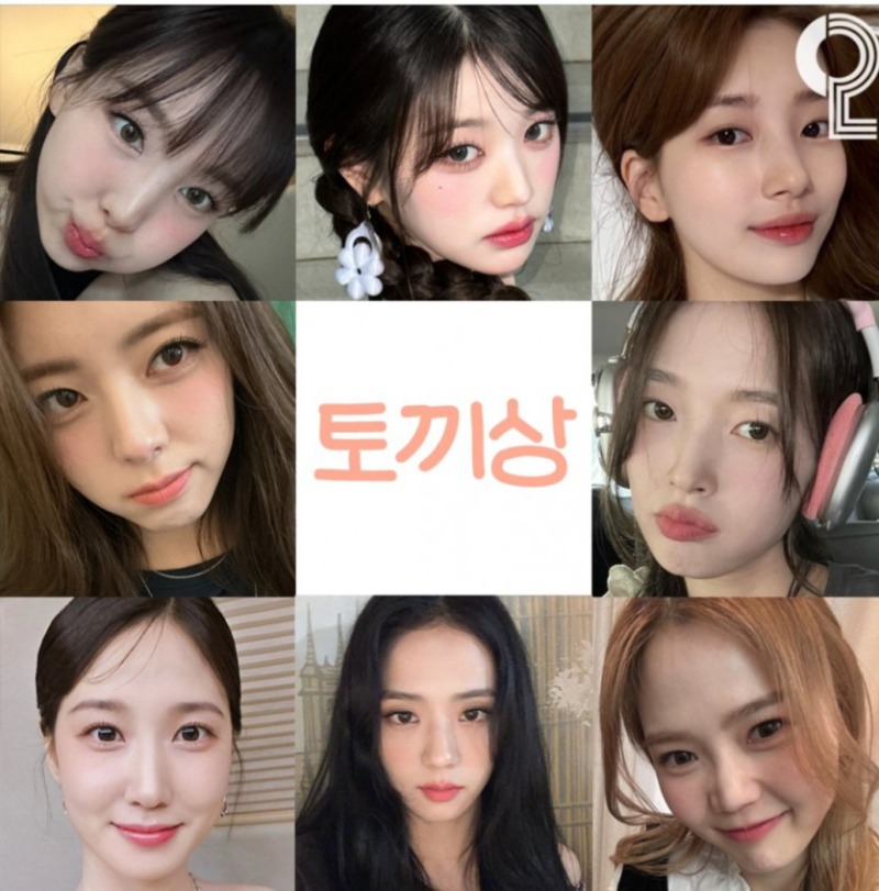 연예인 동물상