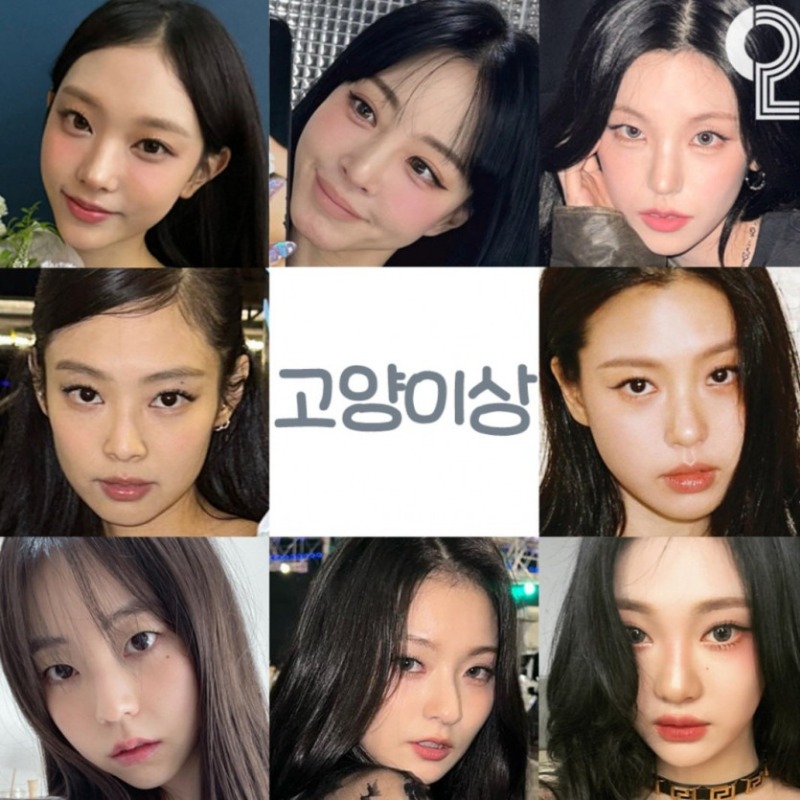 연예인 동물상