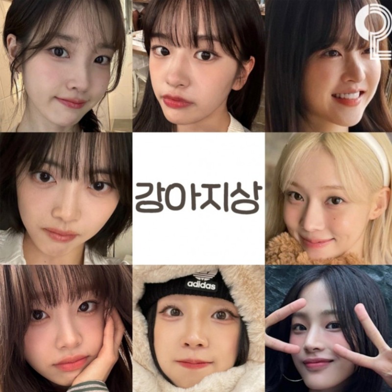 연예인 동물상