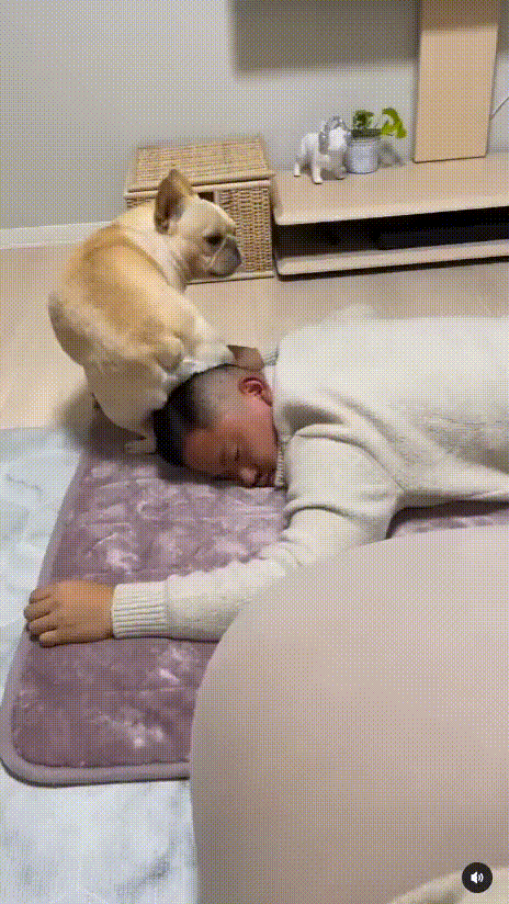 안일어나? 싼다?