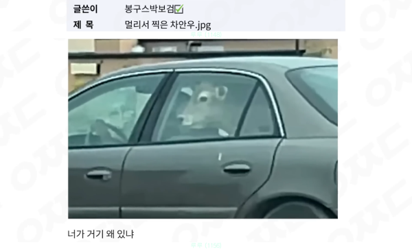 차안우