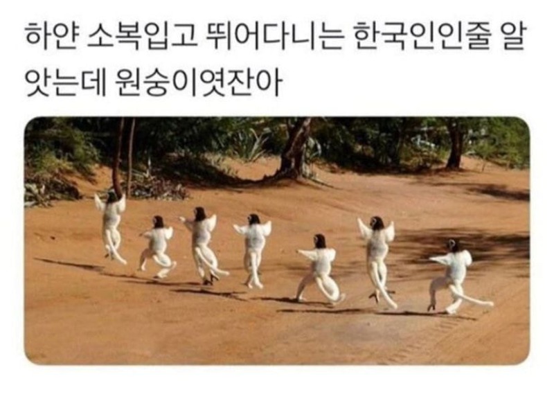 원숭이였잖아!