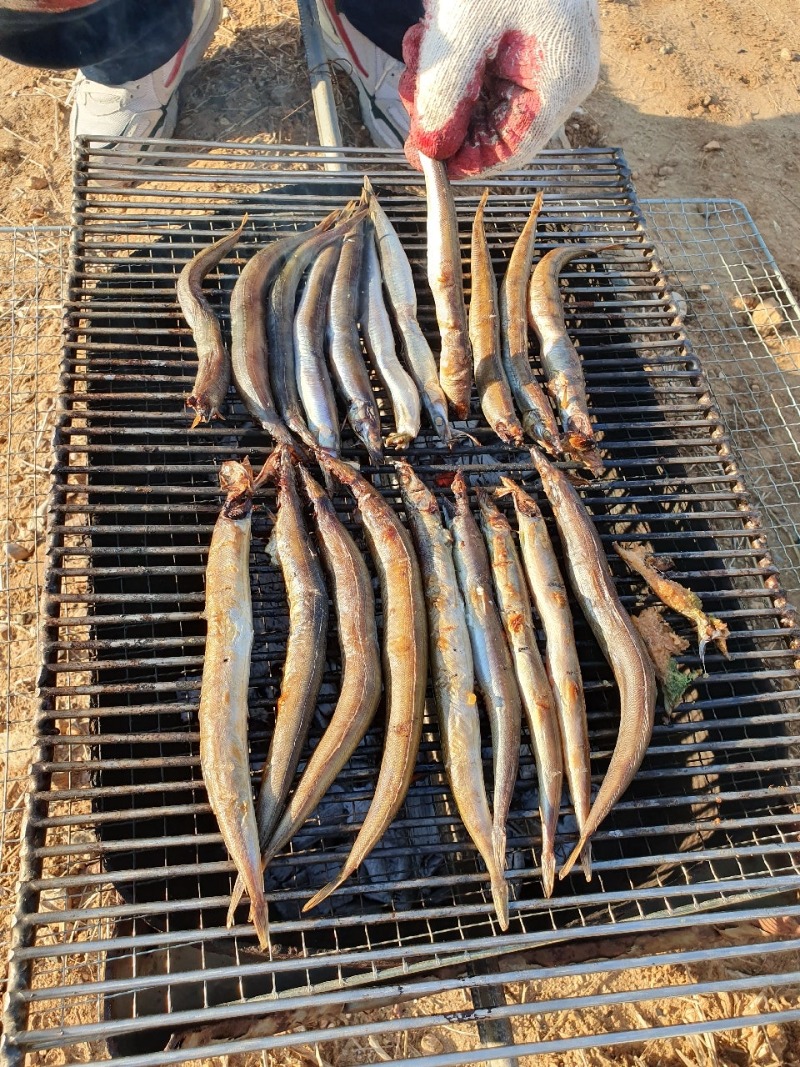 양미리 맛있나?