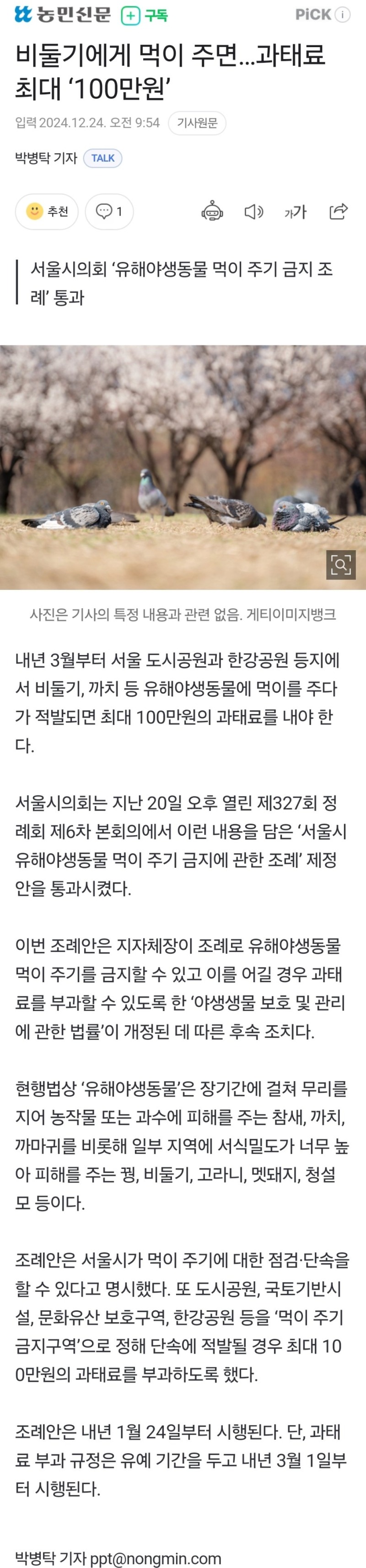 비둘기에게 먹이주면 과태료 최대 100만원
