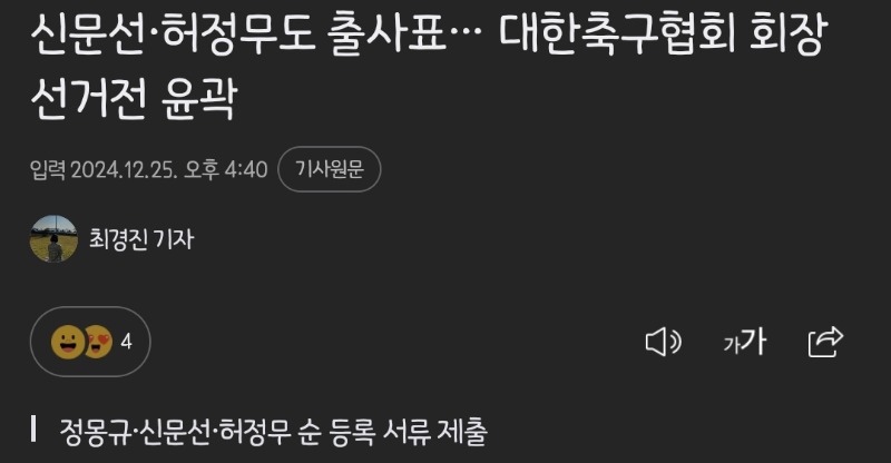 대한축구협회장 선거