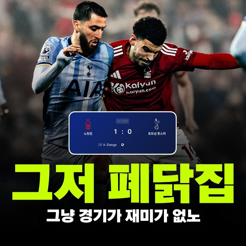 폐닭......