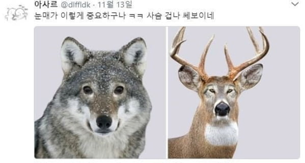 눈매의 중요성
