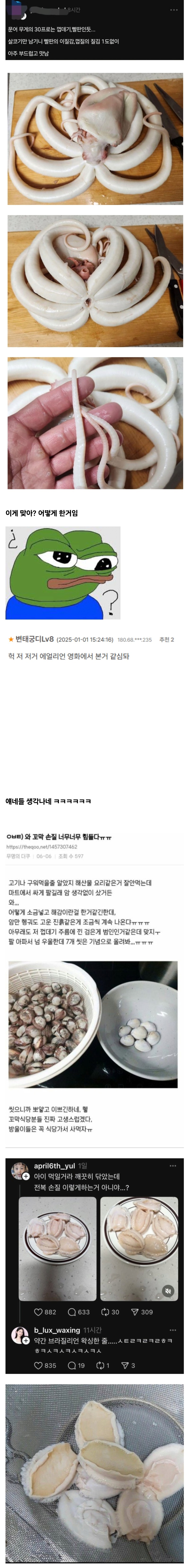 동생한테 문어 손질 맡기고 화장실 다녀왔는데 대참사
