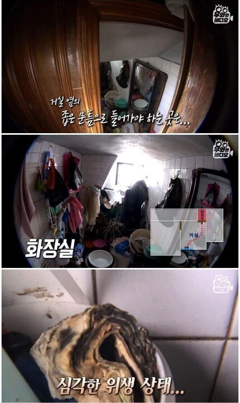 '세상에 이런 일이'에 나왔던 쓰레기집 근황.jpg