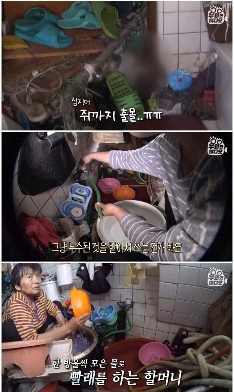 '세상에 이런 일이'에 나왔던 쓰레기집 근황.jpg