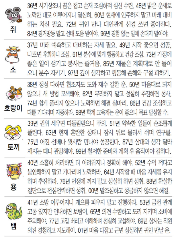 6일 오늘의운세