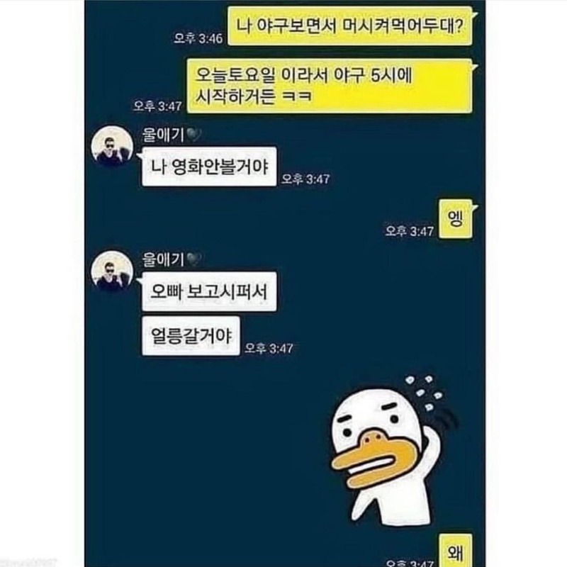 부부들 리얼 카톡 대화.jpg