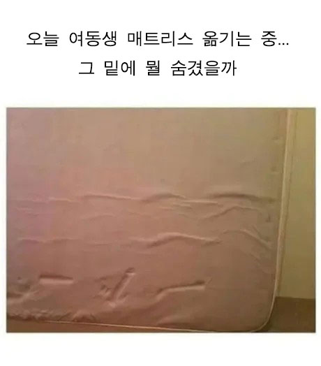여동생 매트리스 옮기는데..