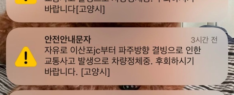 오늘자 고양시 안내문자 오타