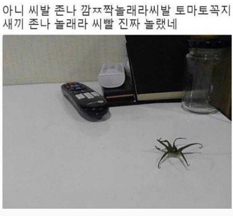 토마토 꼭지 보고 놀란 사람.JPG