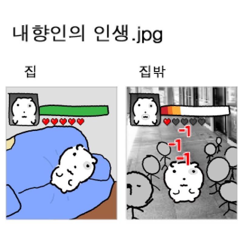 순수한 디씨인