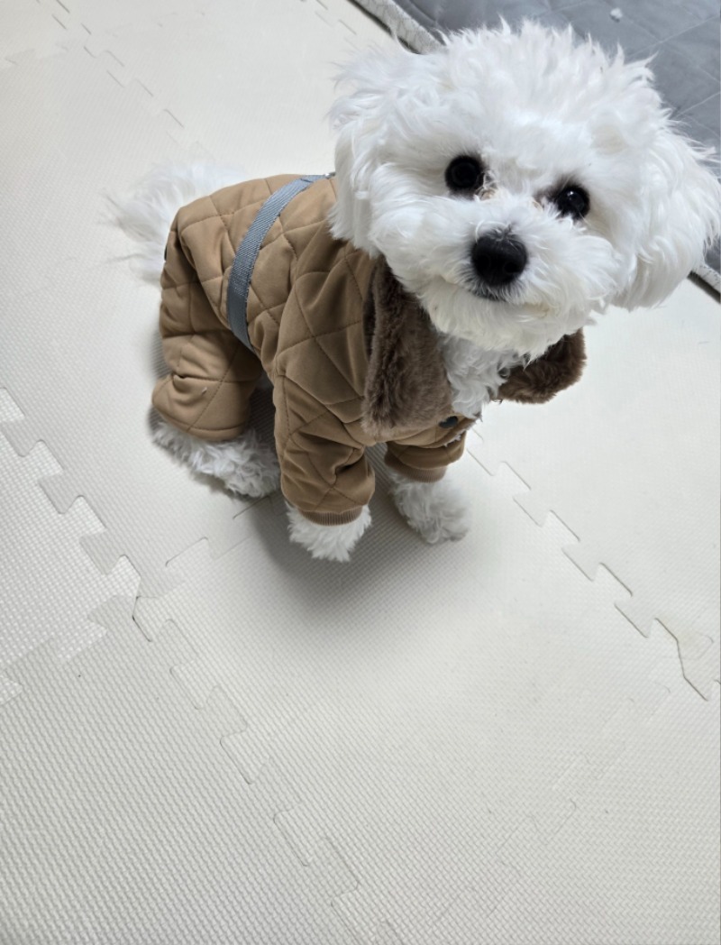 오랜만에