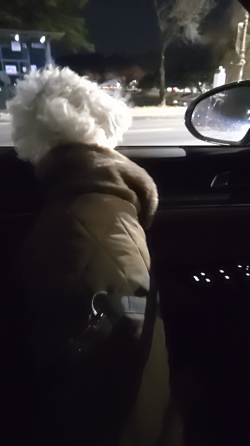 오랜만에