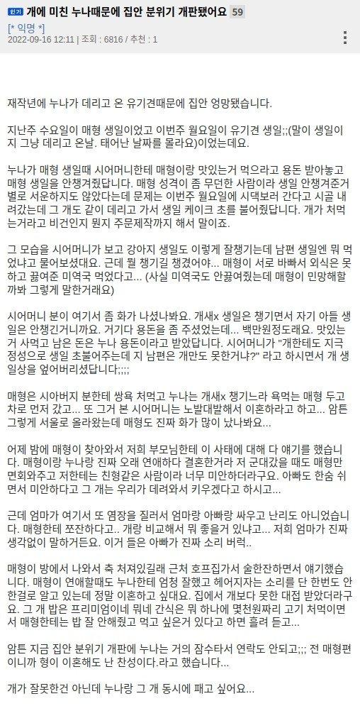 개에 미친 누나 때문에 분위기 개판난 집안