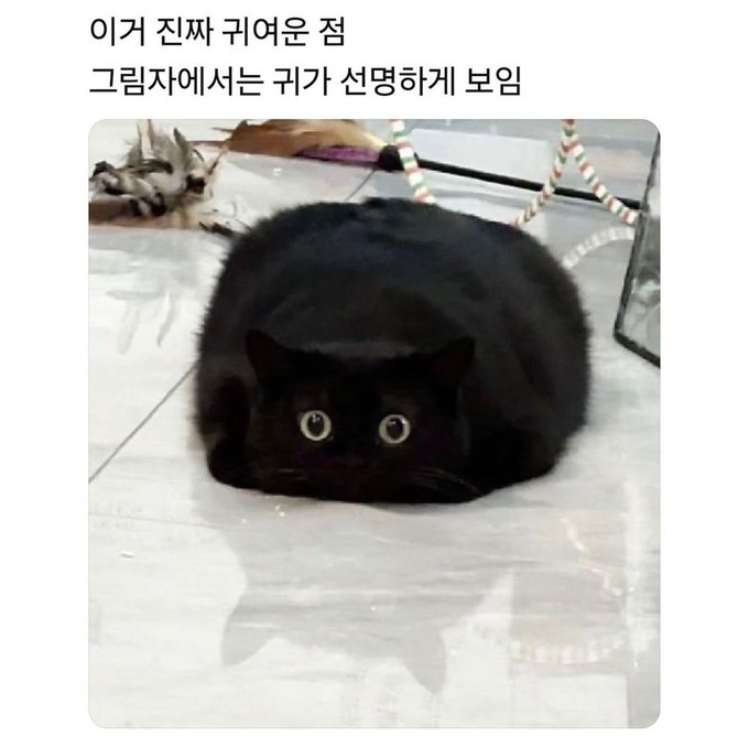 이거 진짜 귀여운 점