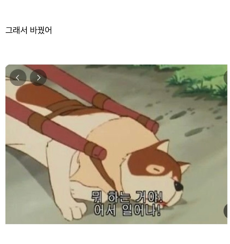 좆소 직원 프사