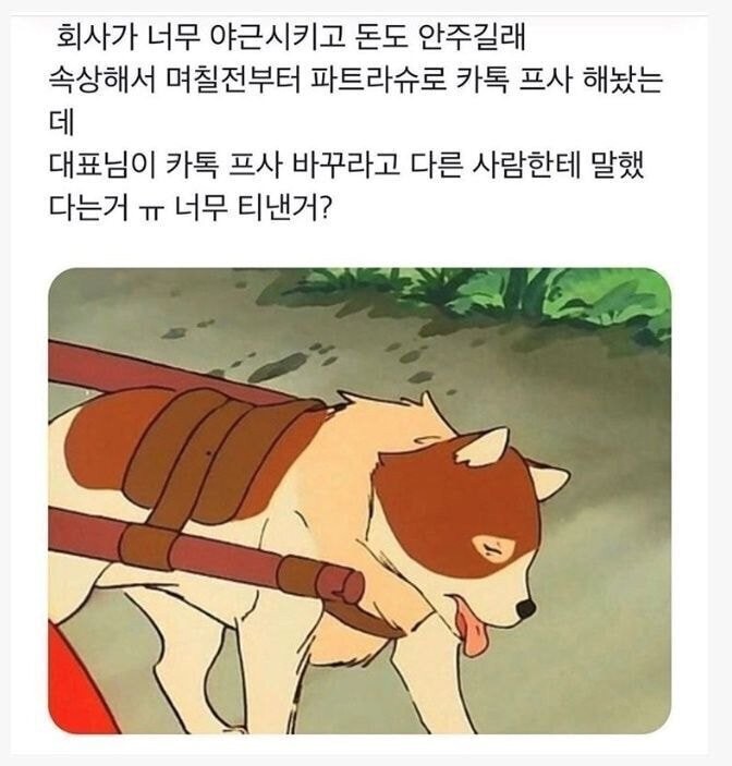 좆소 직원 프사