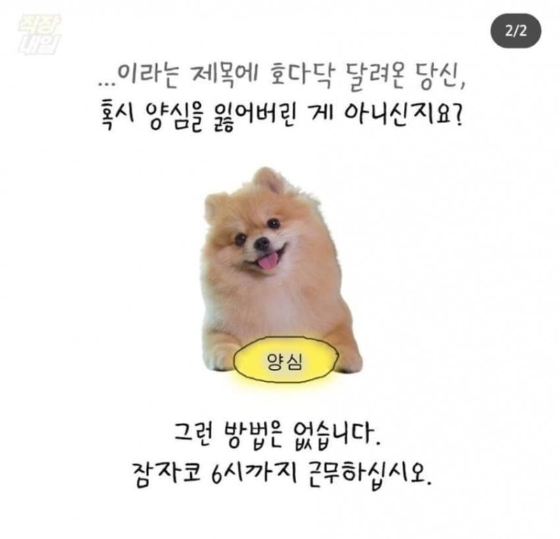 계엄령 내렸을때 ㅋㅋㅋㅋㅋㅋ