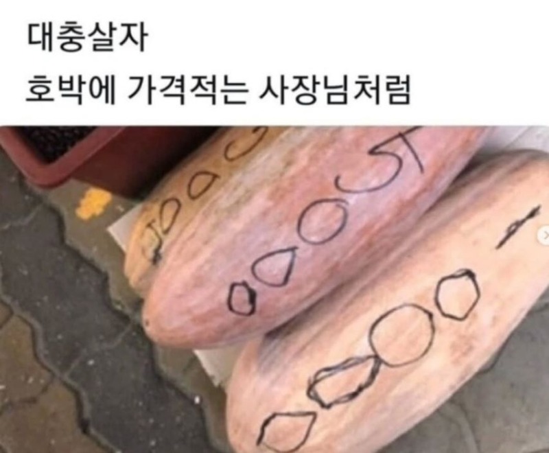 그냥 대충살자