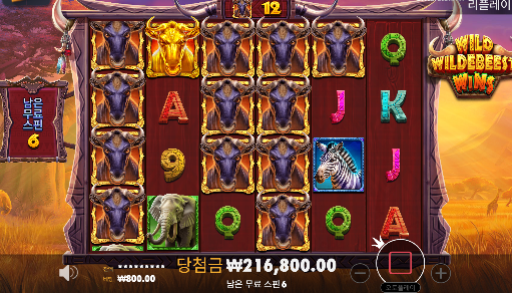 [프라그마틱] 와일드 윌더비스트 윈 신규슬롯 깨버리기
