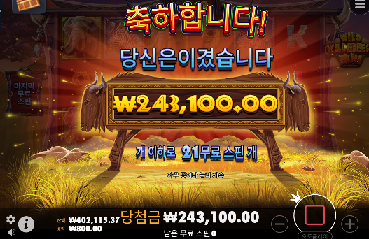 [프라그마틱] 와일드 윌더비스트 윈 신규슬롯 깨버리기