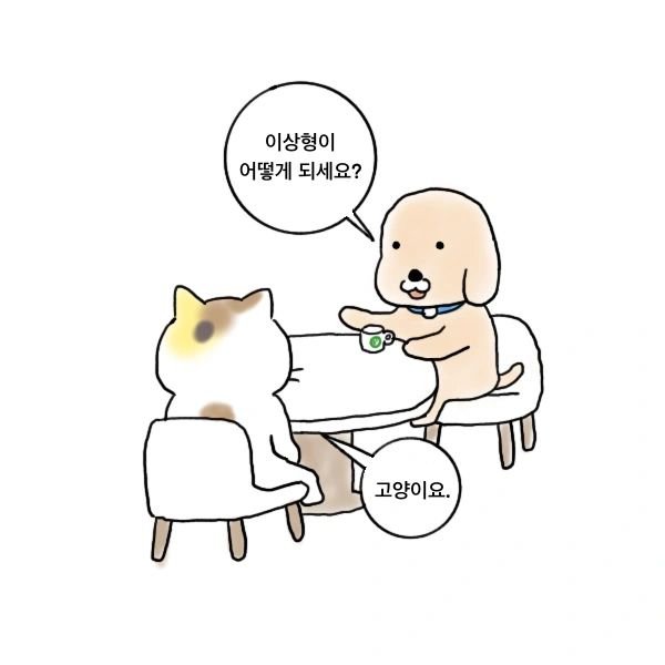 이상형이 어떻게 되세요