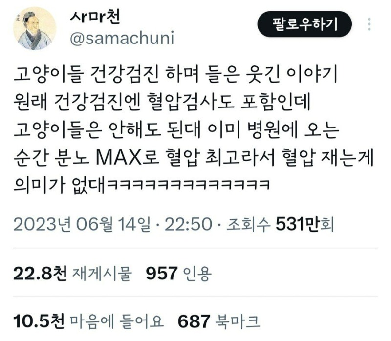 동물병원에서 고양이 혈압을 안 재는 이유