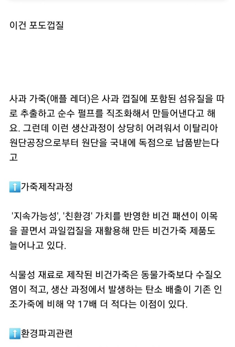 과일껍질 공예